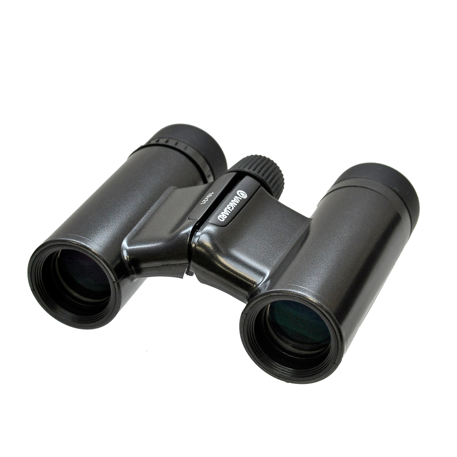 Бинокль VANGUARD Vesta Compact BP 10х21 