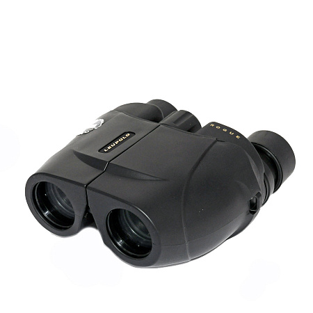 Бинокль LEUPOLD Rogue Compact 8x25 черный